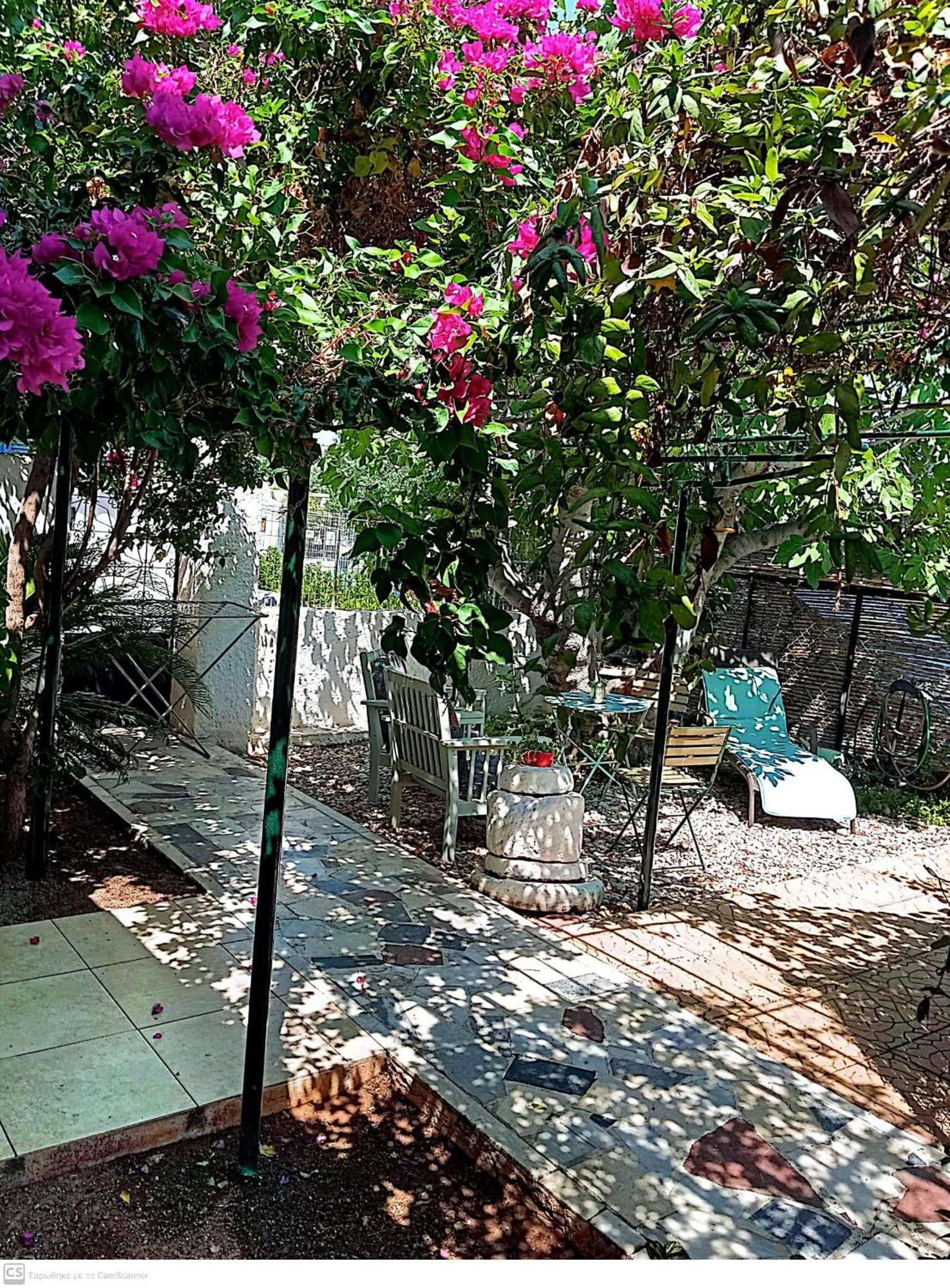 Εξοχικό Maria Βίλα Αμπελάκια Εξωτερικό φωτογραφία