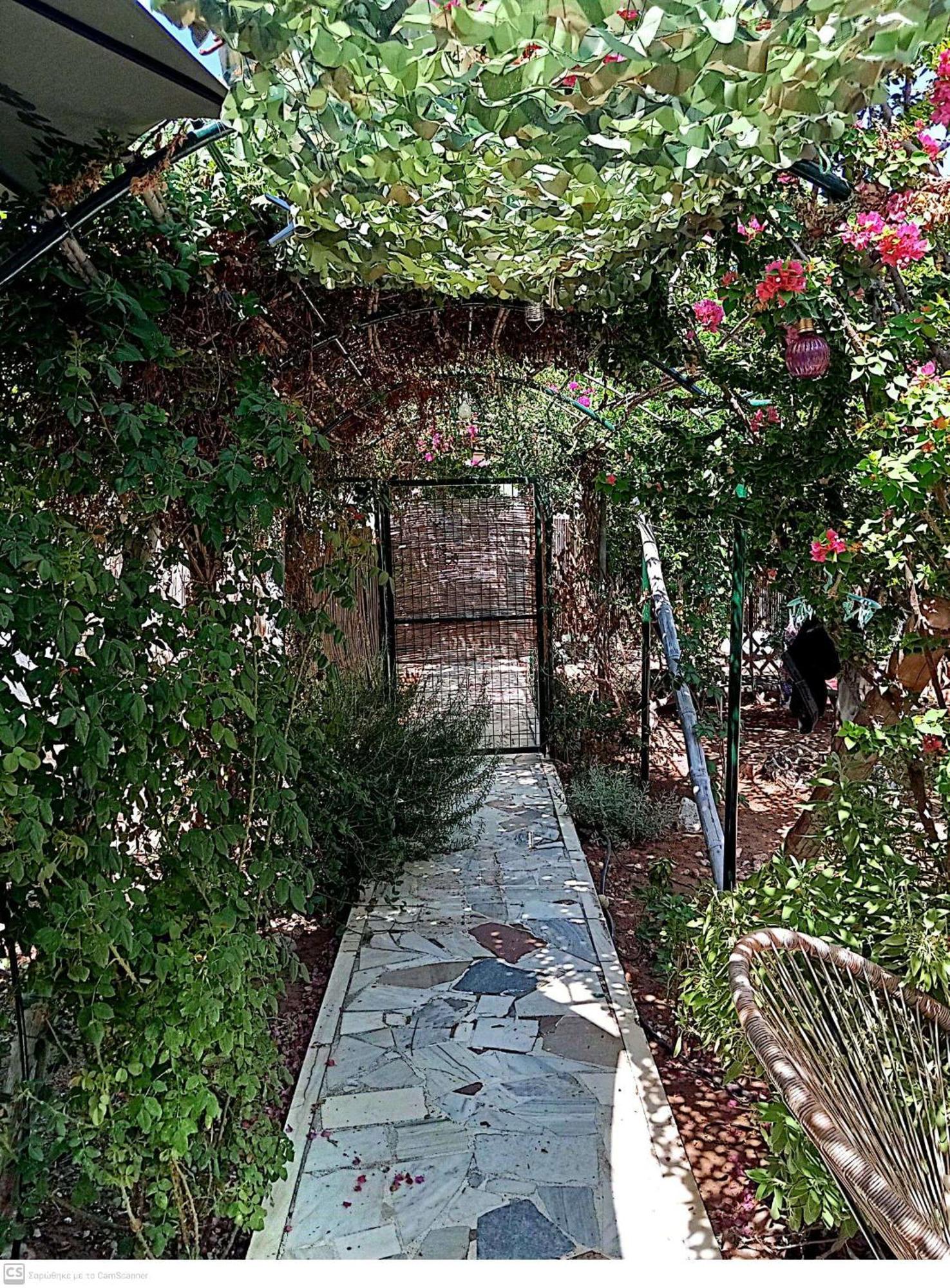 Εξοχικό Maria Βίλα Αμπελάκια Εξωτερικό φωτογραφία